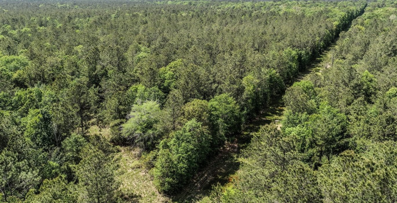 833 DJI 20260415144444 0152 D