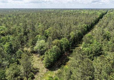 833 DJI 20260415144444 0152 D