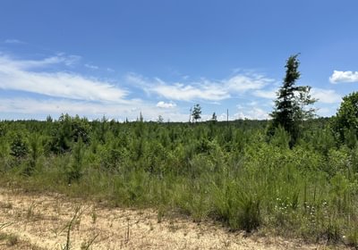 834 IMG 5786