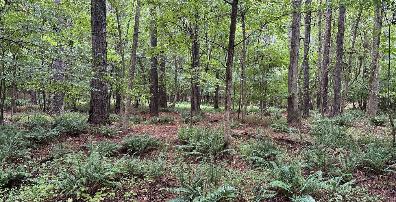834 IMG 6771