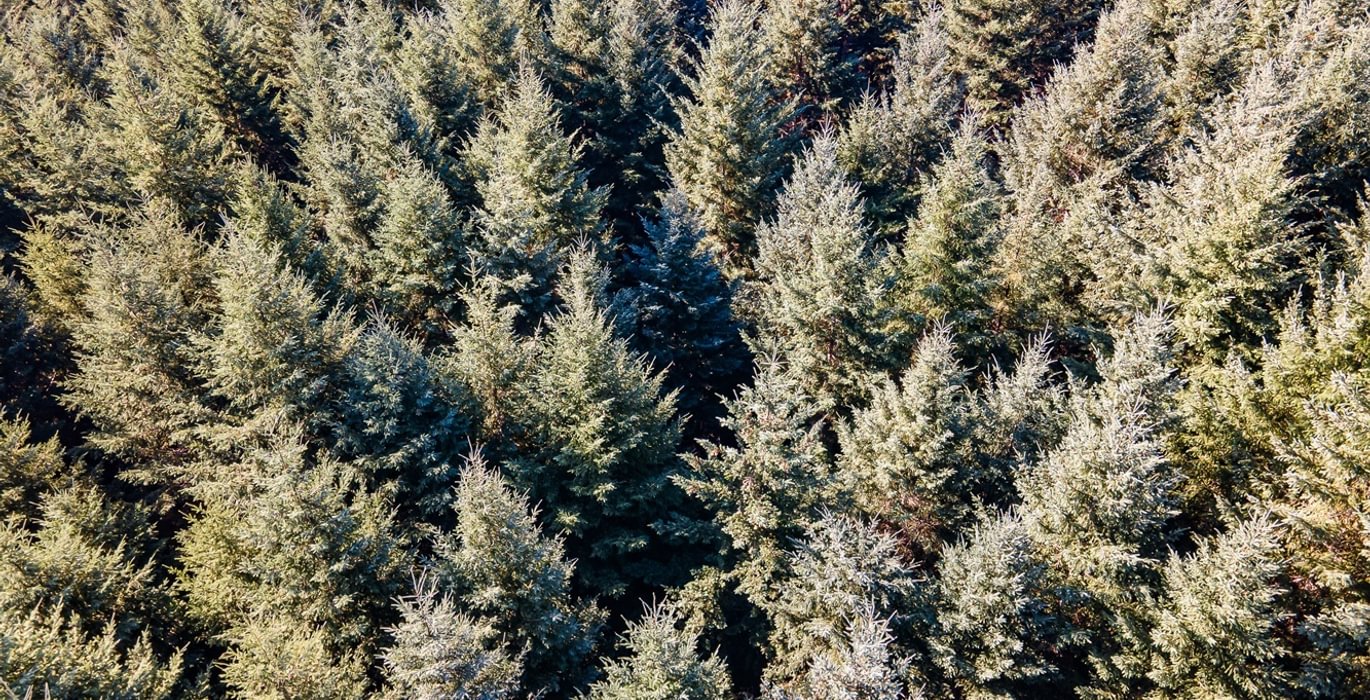 835 DJI 0889 HDR25