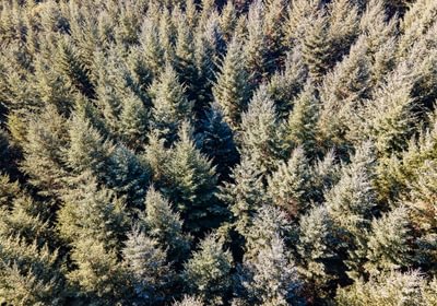 835 DJI 0889 HDR25