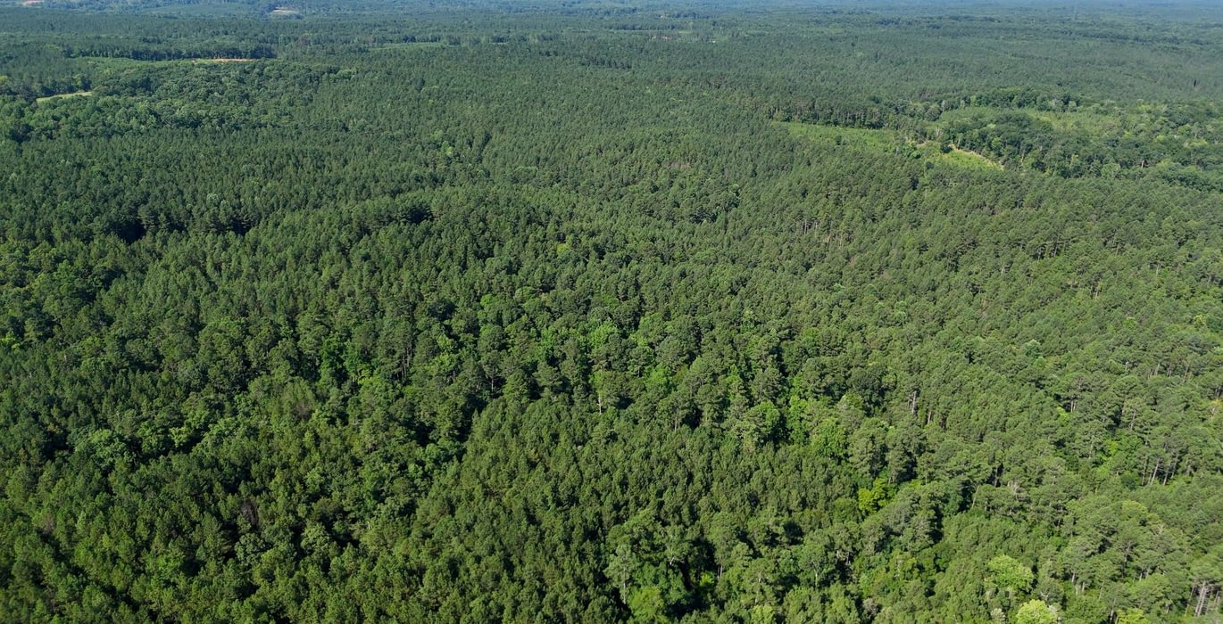 837 Enoree Creek Photo 15