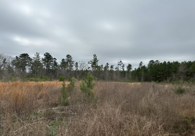 838 IMG 5709