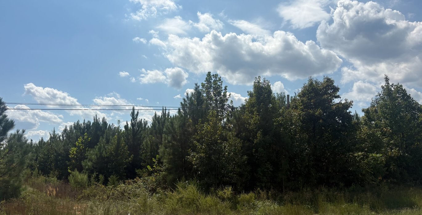 838 IMG 6668