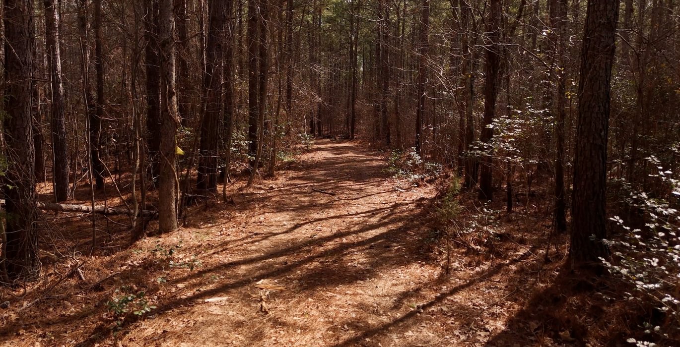 838 Pleasant Grove Road 12