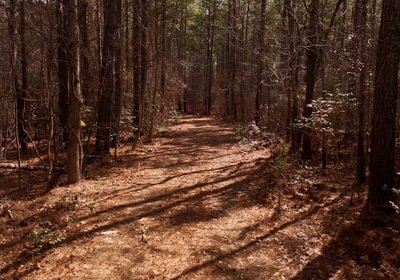 838 Pleasant Grove Road 12