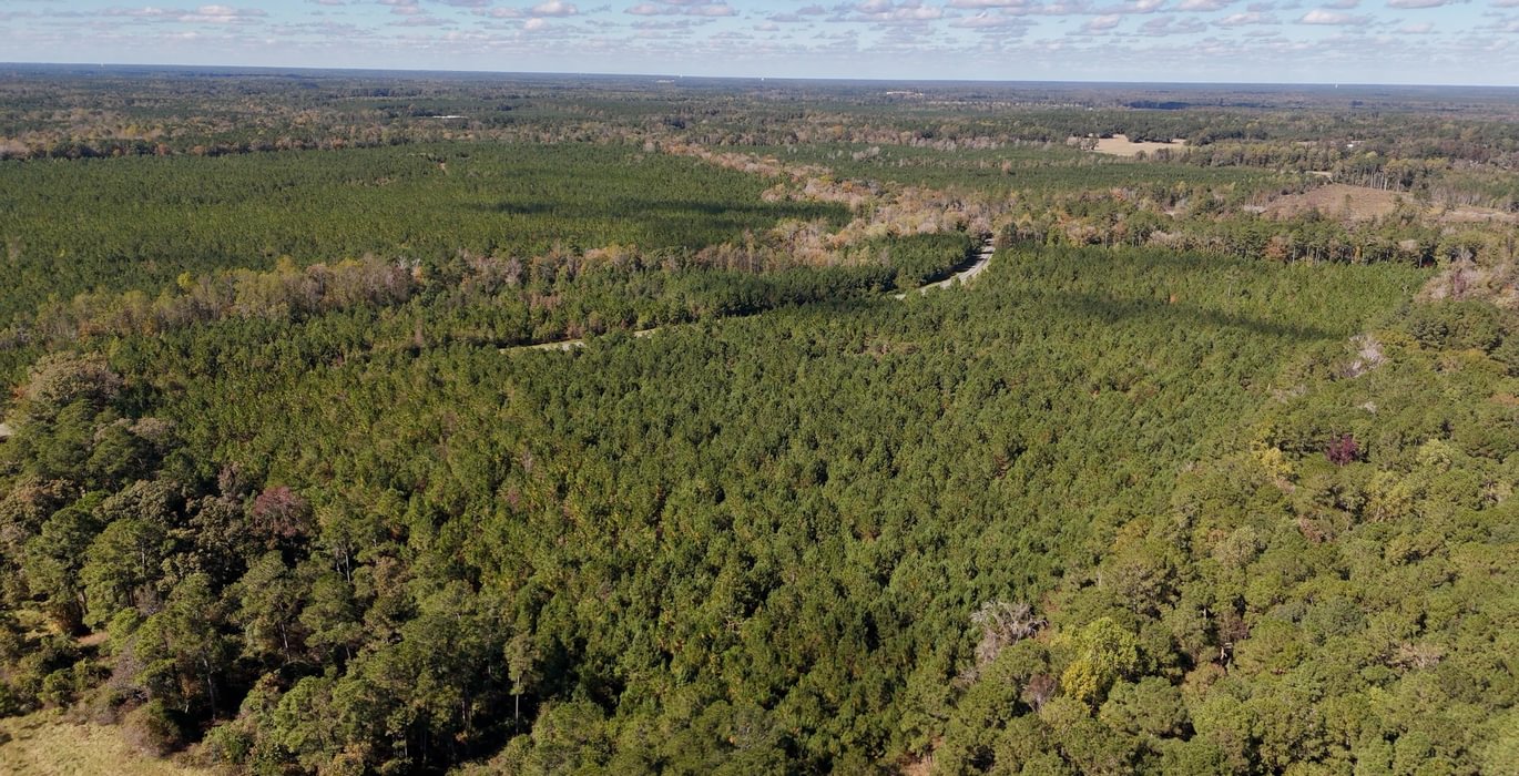 839 AFM Bladen 339 Photo 8