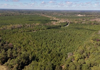 839 AFM Bladen 339 Photo 8