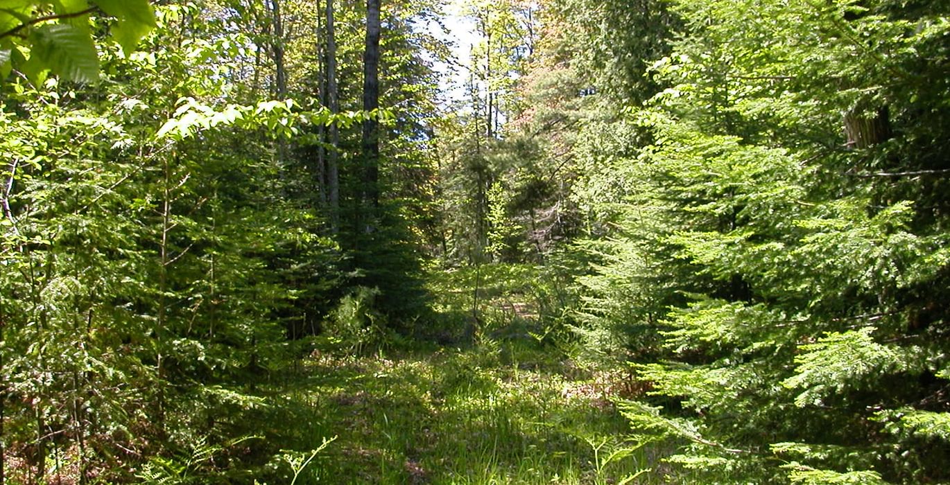 839 Eagle Harbor South 015