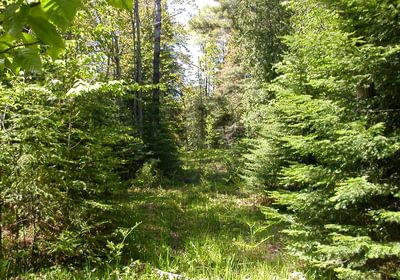 839 Eagle Harbor South 015