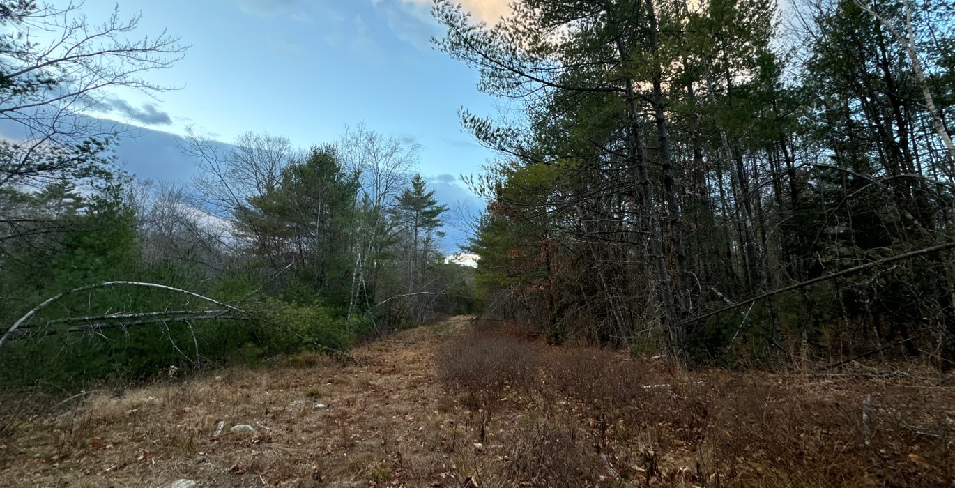 87 Birch Drive 2