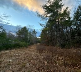87 Birch Drive 2