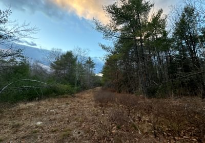 87 Birch Drive 2