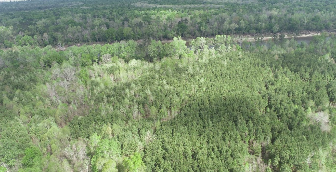 87 DJI 0189