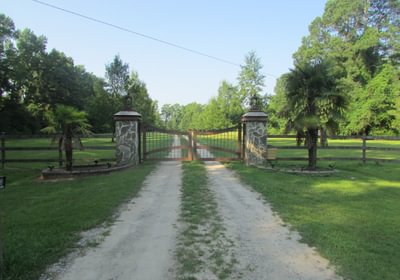 87 IMG 0813