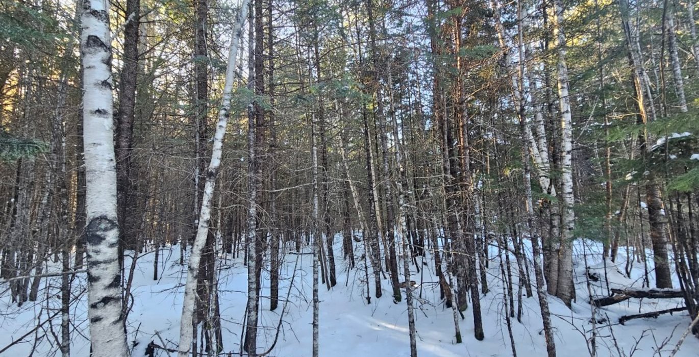 840 5 Lot off Woods Road 3