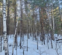 840 5 Lot off Woods Road 3