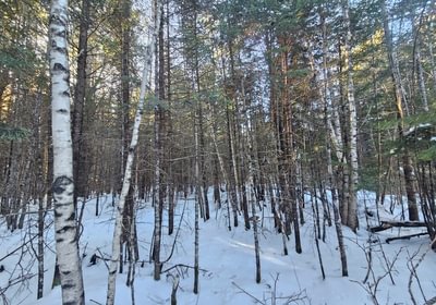 840 5 Lot off Woods Road 3