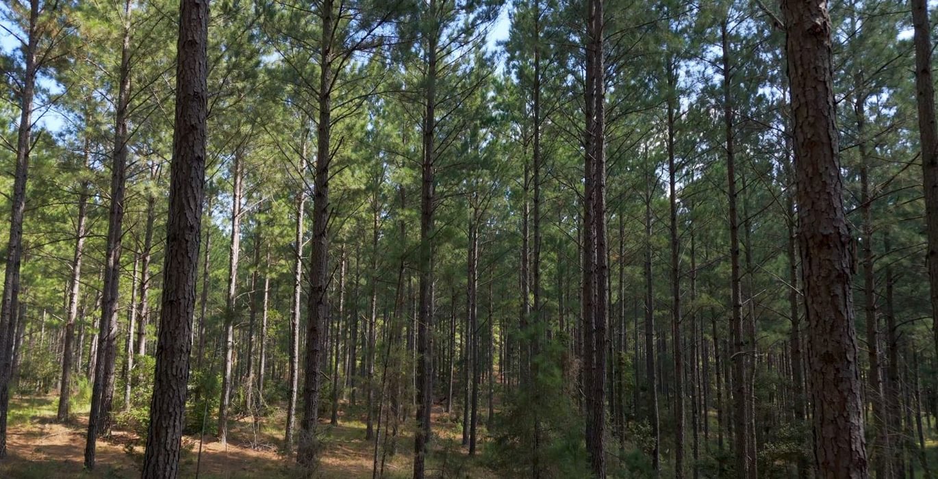 840 Cabin Creek Photo 39
