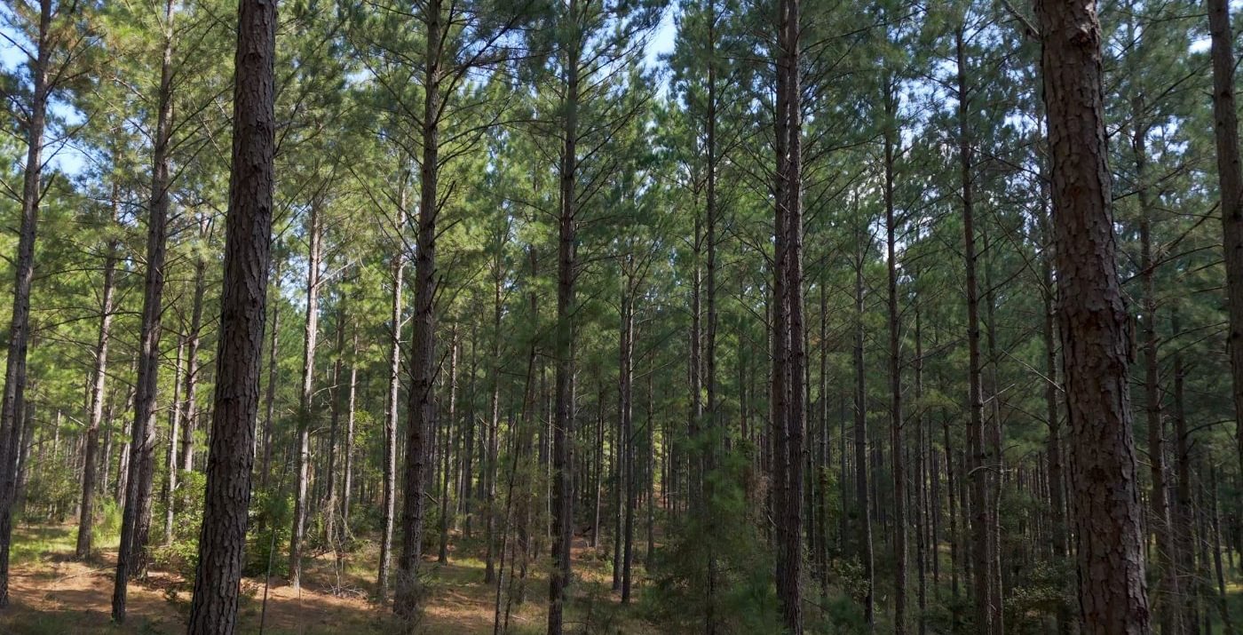 840 Cabin Creek Photo 39