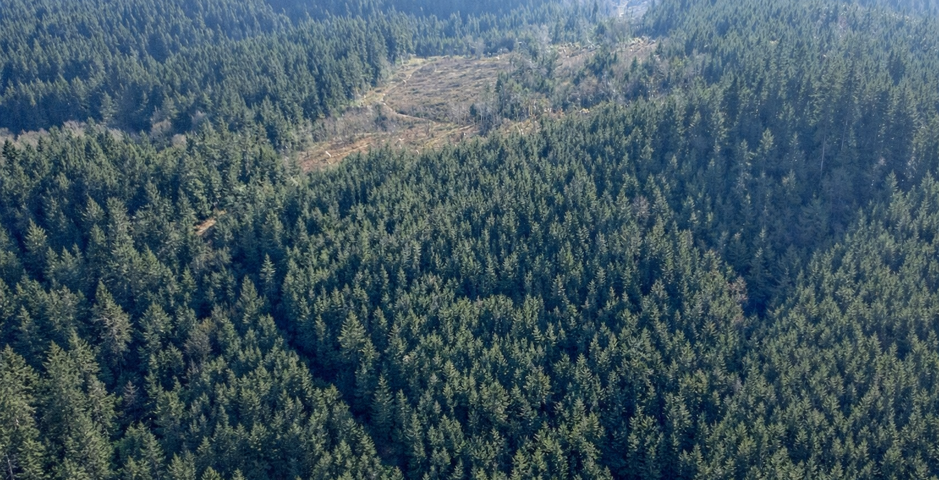 840 Chat GPT Image Jan 13 2026 at 04 06 22 PM