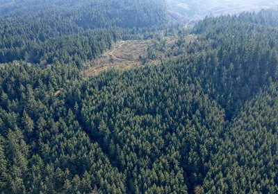 840 Chat GPT Image Jan 13 2026 at 04 06 22 PM