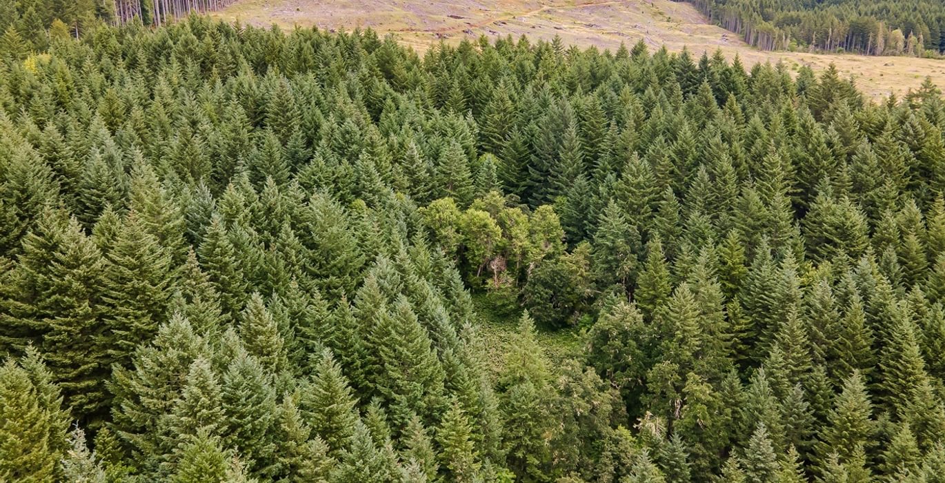 840 DJI 0651 HDR25