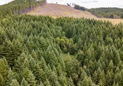 840 DJI 0651 HDR25