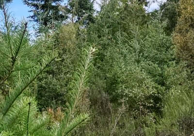 841 IMG 20240923 133902418 HDR