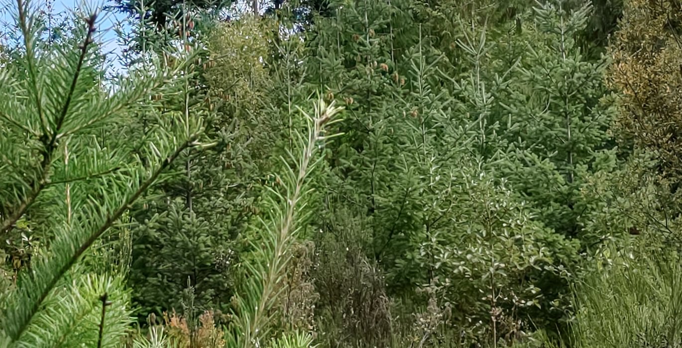 841 IMG 20240923 133902418 HDR