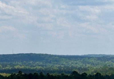 841 IMG 3303