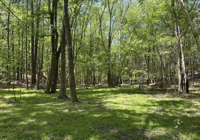 841 IMG 5263