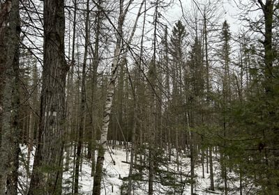 842 IMG 1592 2