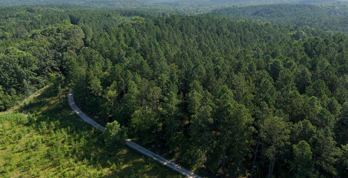 844 Enoree Creek Photo 10