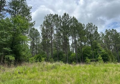 844 IMG 1744