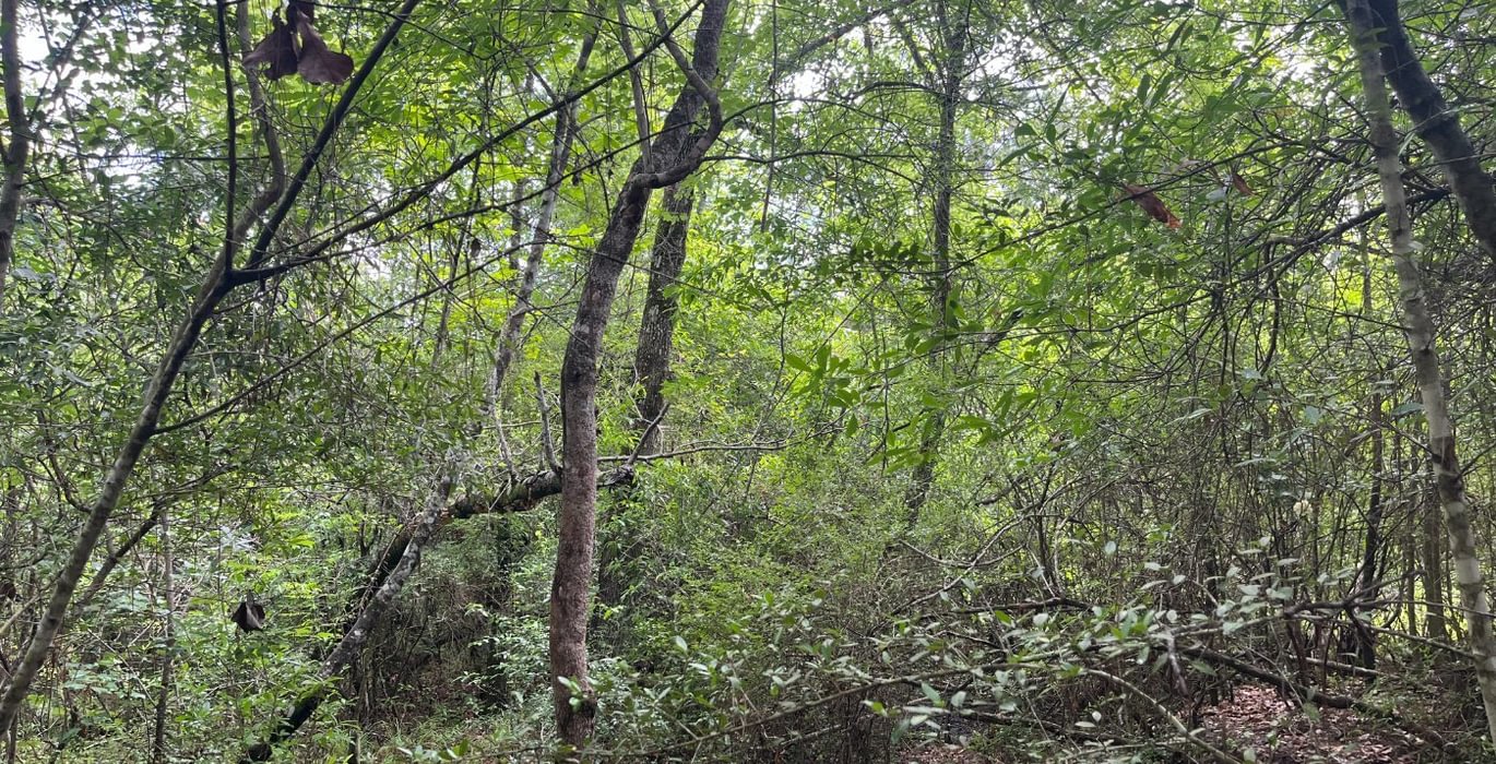 845 IMG 6101