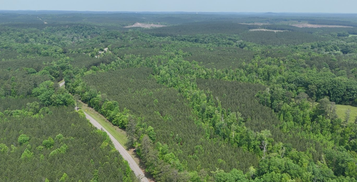 845 Mc Call Capelsie 1