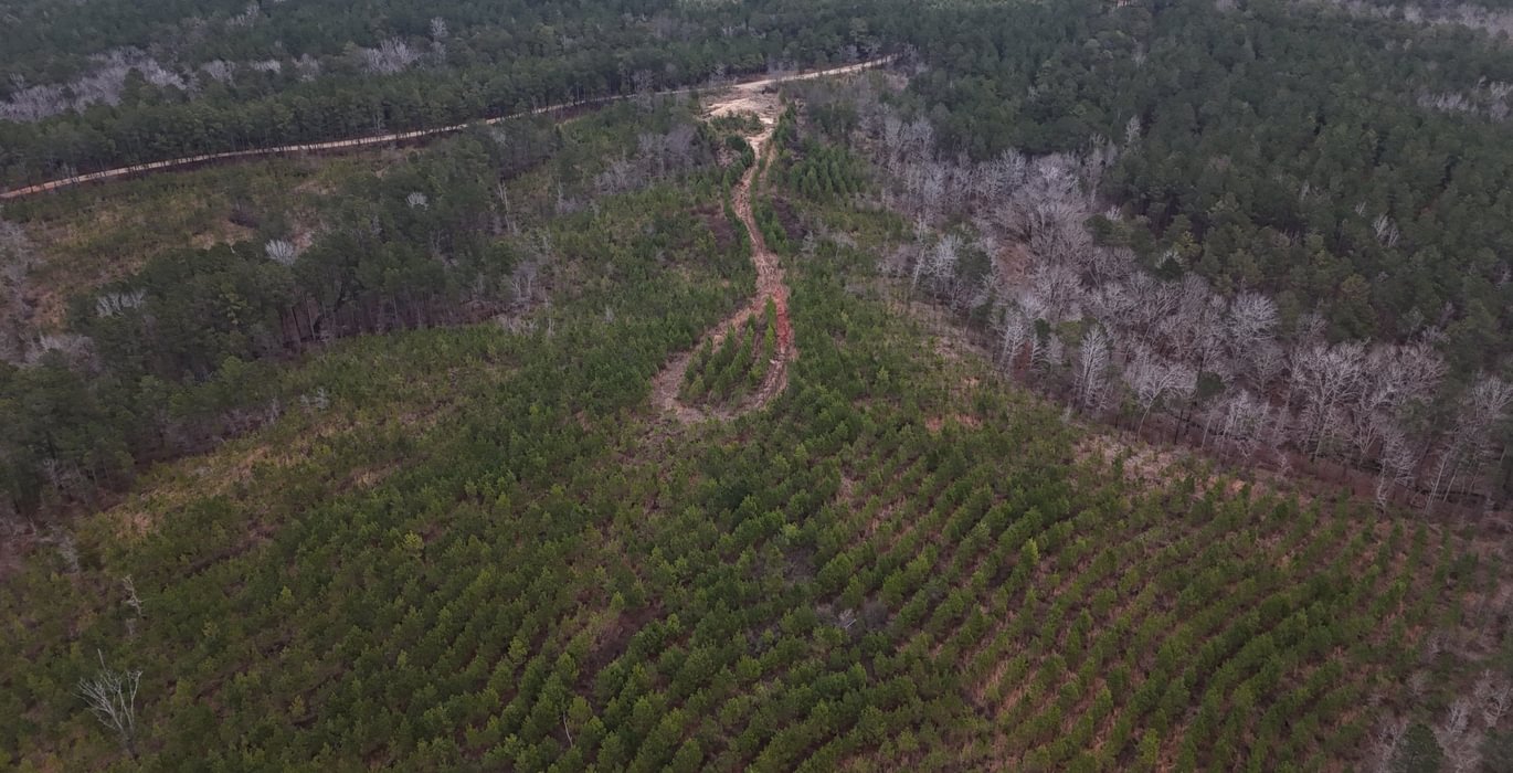 847 DJI 20260205154428 0013 D
