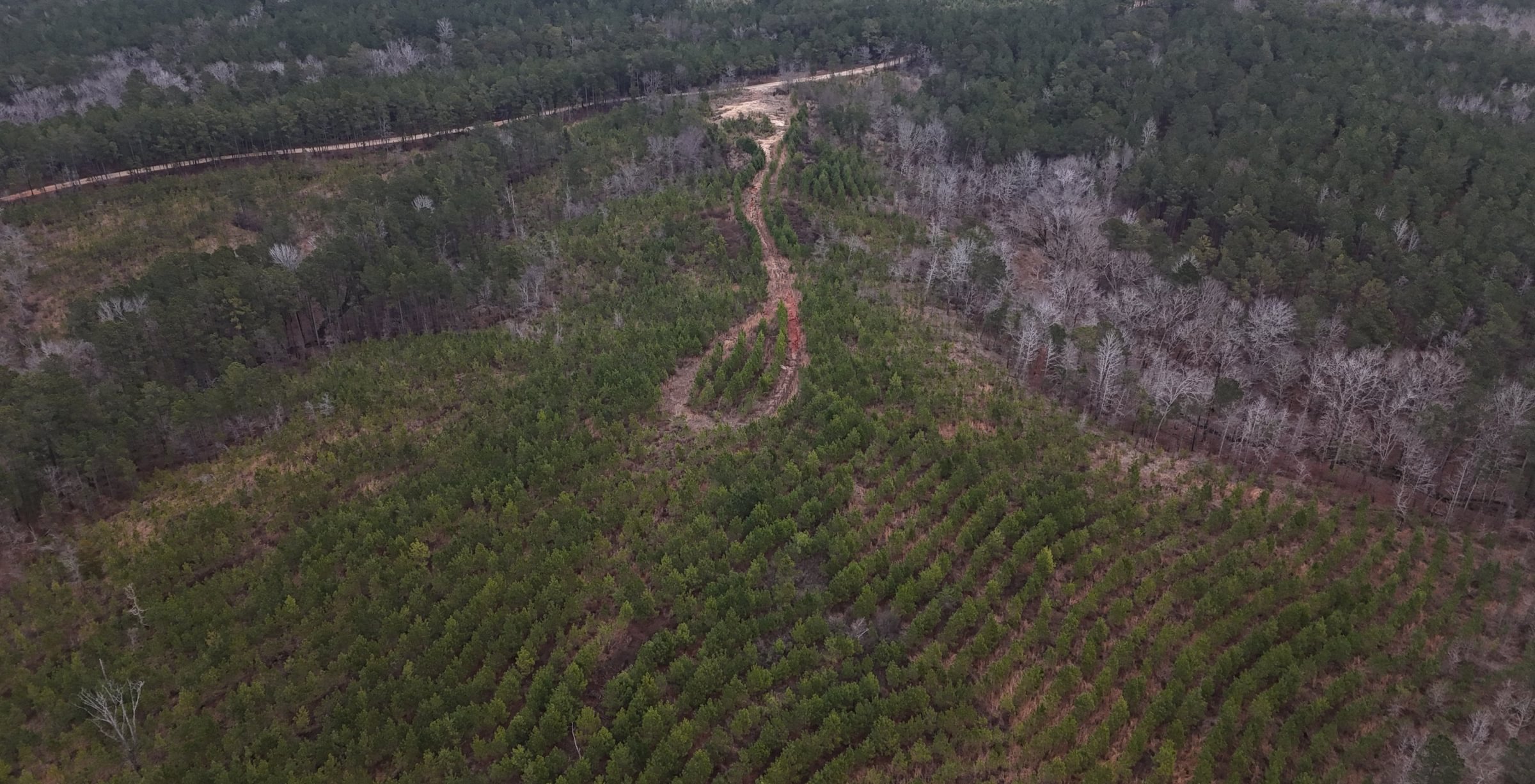 Photo 8 of Chickasaw Pines at Lake Sinclair, 131 acres, Hancock County, Georgia