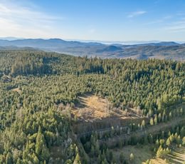 847 DJI 20260203100143 0064 D