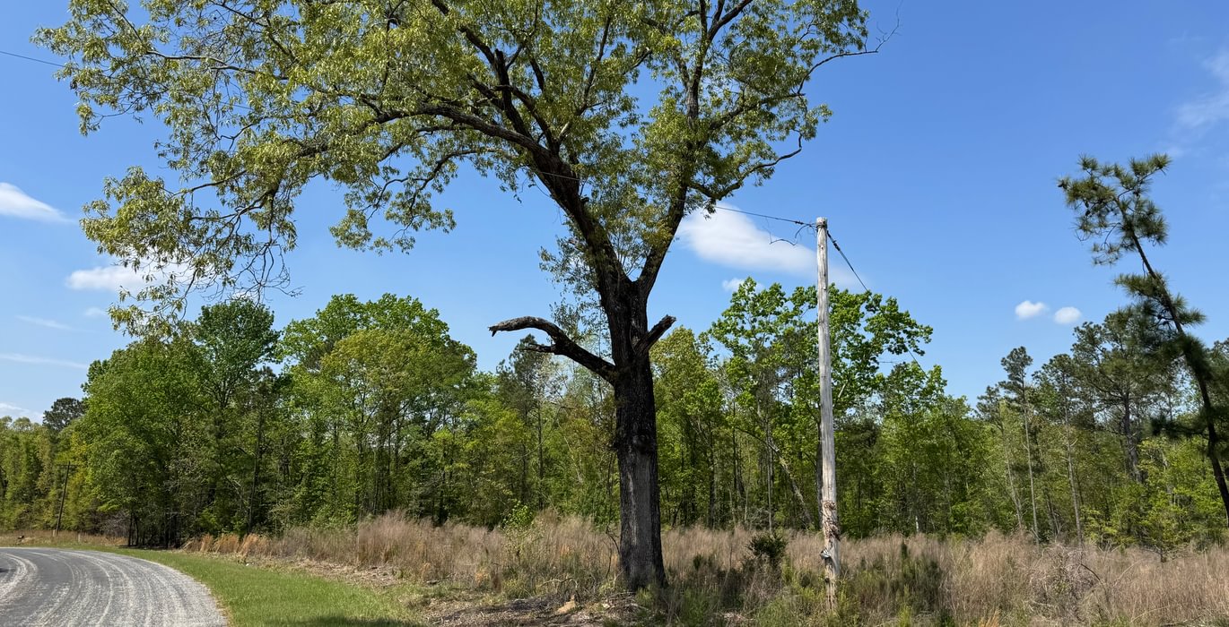 848 IMG 7177