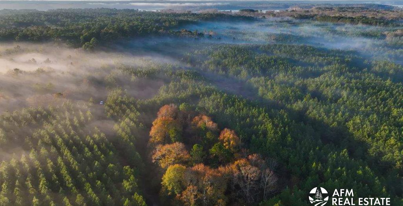 850 DJI 20250201074322 0032 V