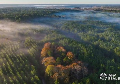 850 DJI 20250201074322 0032 V