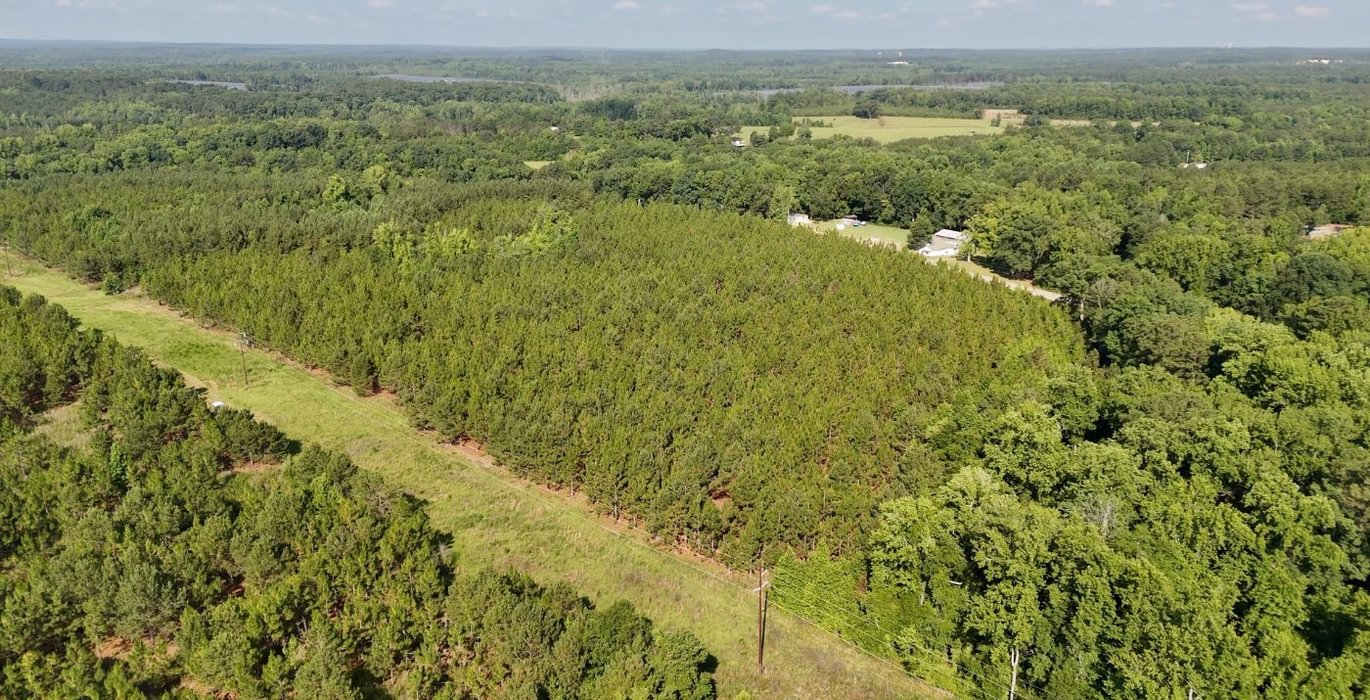 850 Longleaf Mecca Photo 6
