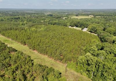 850 Longleaf Mecca Photo 6
