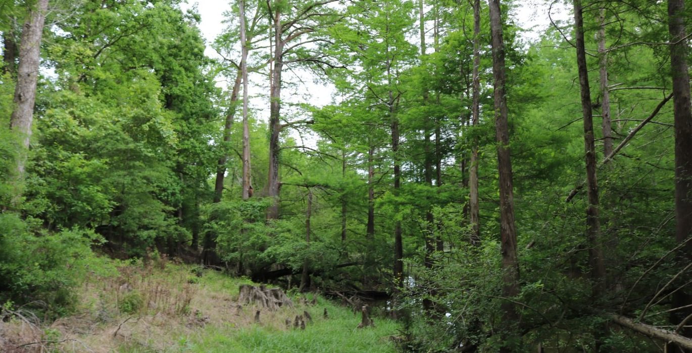 852 IMG 3831