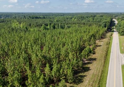 853 Longleaf Mecca Photo 12