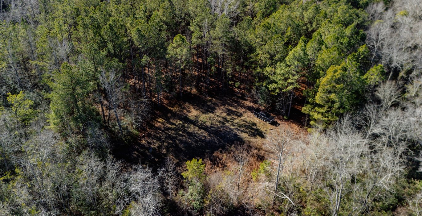 854 DJI 20250120110104 0009 D 1