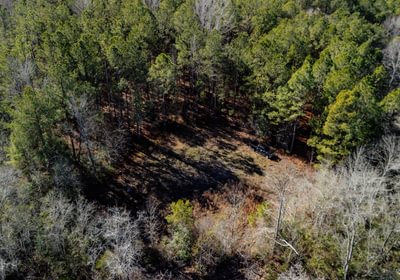 854 DJI 20250120110104 0009 D 1
